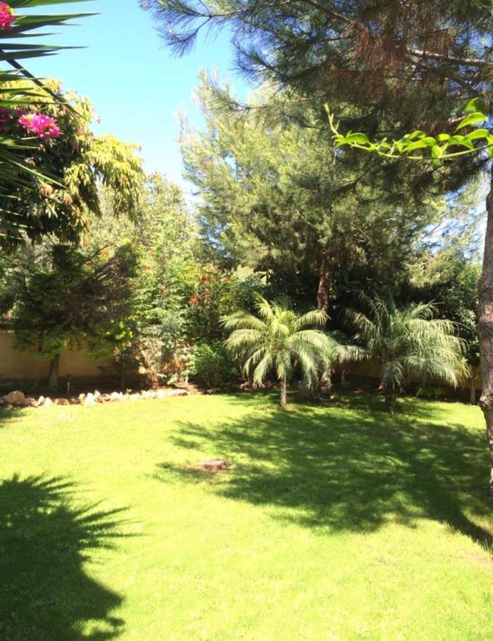 Villa Natalia Ayia Napa Luaran gambar